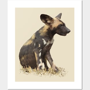 Wilddog - Dog - Sepia - Africa Posters and Art